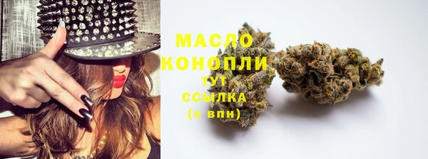 дживик Балахна