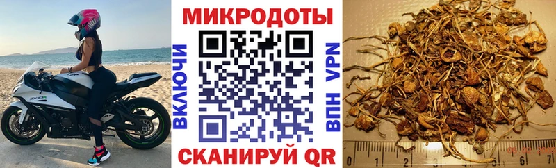 Псилоцибиновые грибы мухоморы  Купить закладки  Мураши 